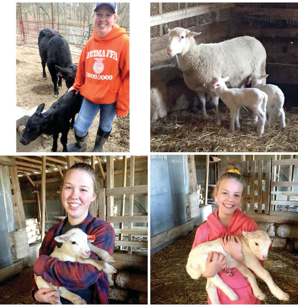 Christine Rieke and her daughters have been busy with new lambs and calves, not to mention feeding their mommas too. Kristin helped dry and warm the calf up and bottle-feed it till strong enough to nurse.